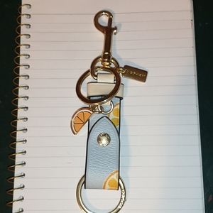 Keychain/Bag Charm